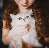 young girl with cat - responsible pet owner